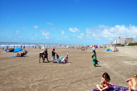 mar de ajo.jpg