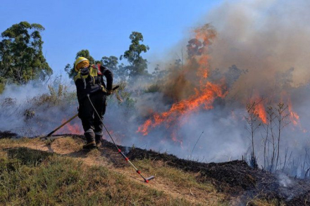 bomberos-lavalle-1jpg.jpg