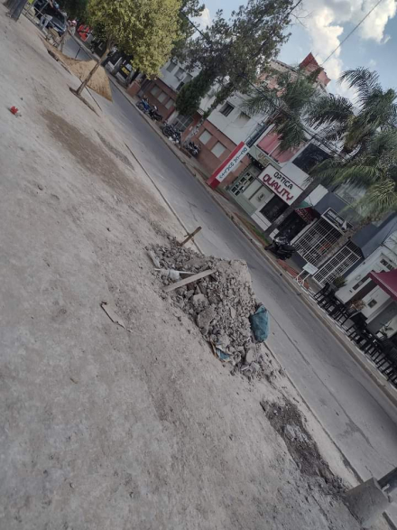 sin arboles 2.jpg