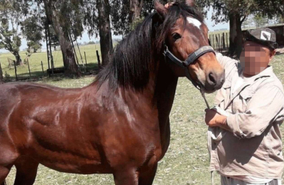 Huída, coartada sin suerte y 20 días oculto