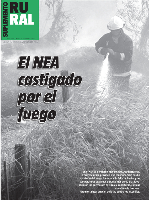 El NEA castigado por el fuego