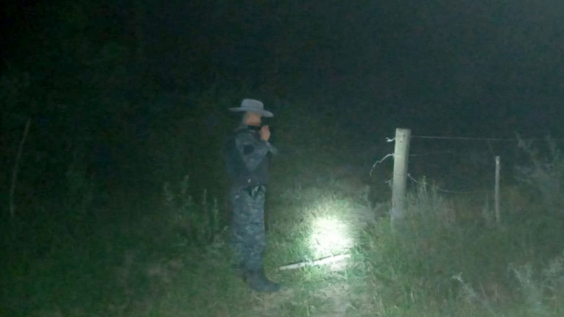 A los tiros quisieron llevarse las vacas en un campo de Machagai