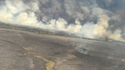 Incendios en el litoral: hay más de 500.000 hectáreas afectadas y las pérdidas superan los $25.000 millones