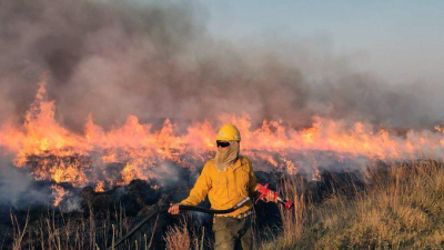 Pérdidas millonarias y un futuro hipotecado: así impactan sequía e incendios en el NEA