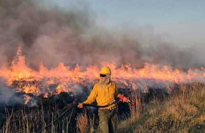 Pérdidas millonarias y un futuro hipotecado: así impactan sequía e incendios en el NEA