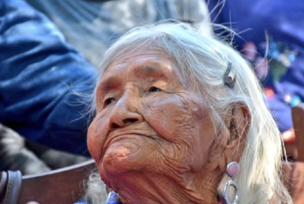 rosa grillo.jpg