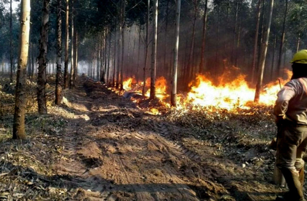 Incendios-Corrientes.jpg