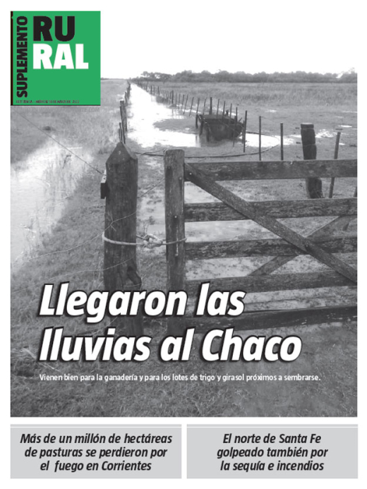 Llegaron las lluvias al Chaco