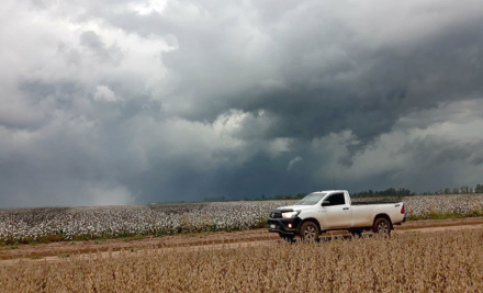 lluvia-en-el-campo.jpg