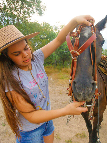 caballo 5.jpg