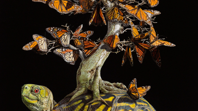 Naturaleza inter-sometida