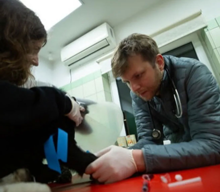 veterinario3.jpg