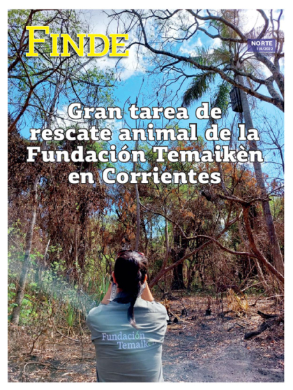 Gran tarea de rescate animal de la Fundación Temaikèn en Corrientes