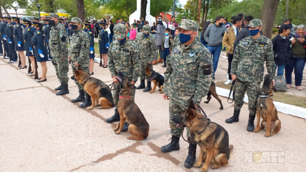 malvinaslasbreñas3.jpg