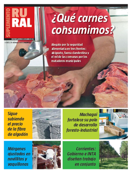 ¿Qué carnes consumimos?