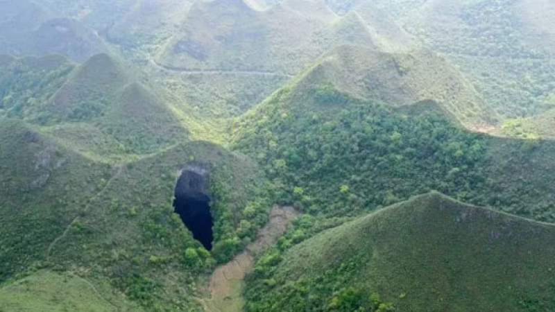 Descubren sumidero con un antiguo bosque que podría incluir especies desconocidas