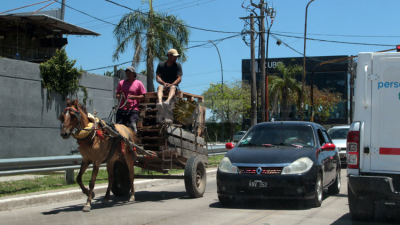 Resistencia dio un paso más hacia la eliminación de la tracción a sangre