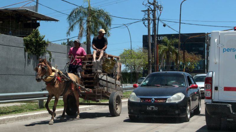 Resistencia dio un paso más hacia la eliminación de la tracción a sangre