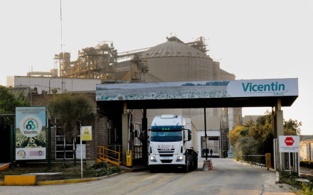 vicentin.jpg