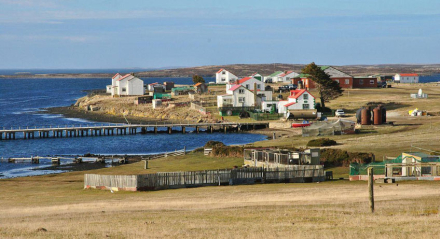 malvinas2.jpg