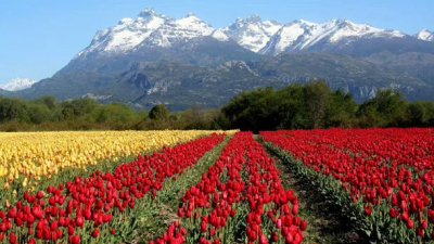 Tres pueblos argentinos compiten para ser distinguidos como el mejor del mundo