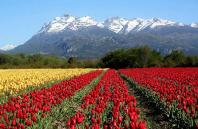 Tres pueblos argentinos compiten para ser distinguidos como el mejor del mundo