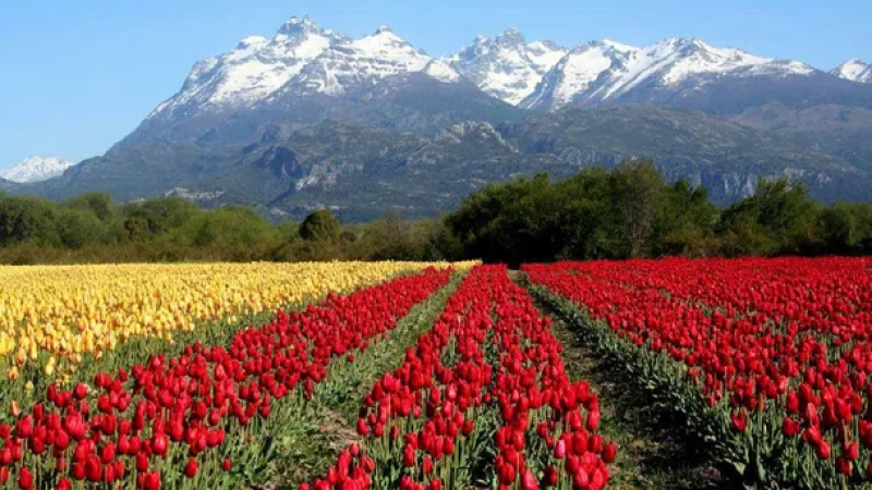 Tres pueblos argentinos compiten para ser distinguidos como el mejor del mundo