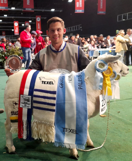 Gran Campeón Hembra TEXEL.jpg