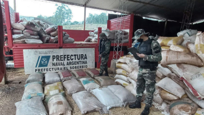 Prefectura decomisó un camión con nueve toneladas de soja ilegal
