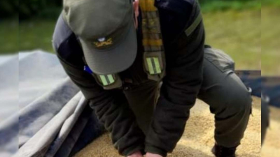 Gendarmería incauto más de 60 toneladas de soja granel