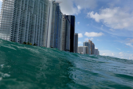 miami3.jpg