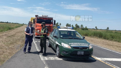 Contrabando: decomisaron 629 toneladas, entre soja y maíz