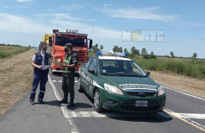 Contrabando: decomisaron 629 toneladas, entre soja y maíz