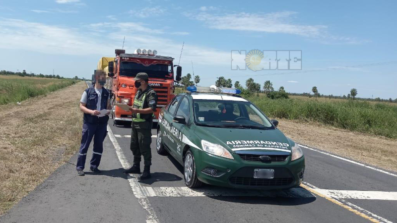 Contrabando: decomisaron 629 toneladas, entre soja y maíz