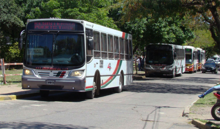 colectivos.jpg