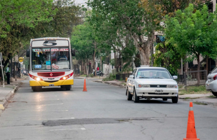 colectivos.jpg