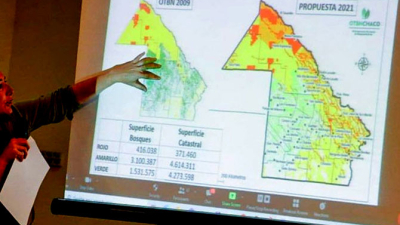 OTBN: dura advertencia de ingenieros agrónomos del Chaco