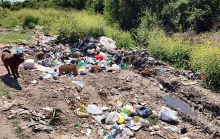 basurales.JPG