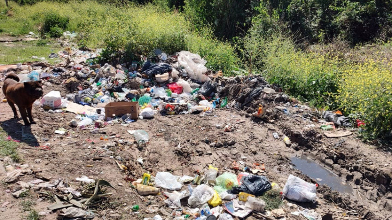 Investigan motivos por los que aún persisten los basurales espontáneos