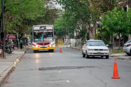 COLECTIVOS 2.jpeg
