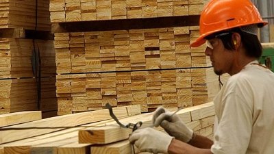 Producción sustentable versus pobreza estructural