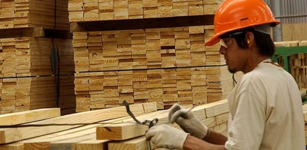 Madera1.jpg
