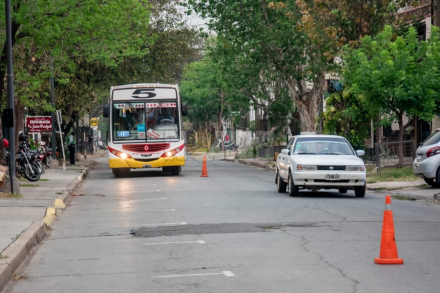 COLECTIVOS 2.jpeg