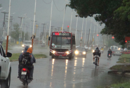 colectivos.jpg
