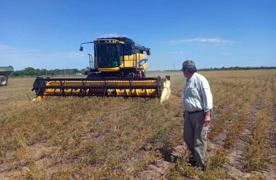 La experiencia de un productor que se animó a apostar por el garbanzo