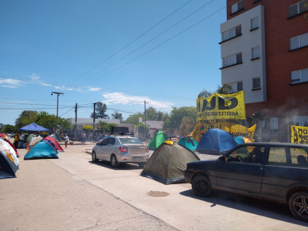 acampe3.jpg