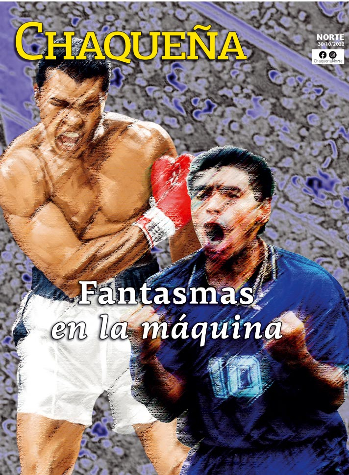 Fantasmas en la máquina