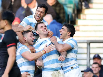 pumas2.jpg