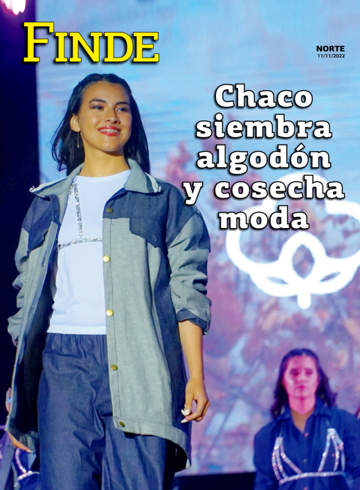 Chaco  siembra  algodón  y cosecha  moda