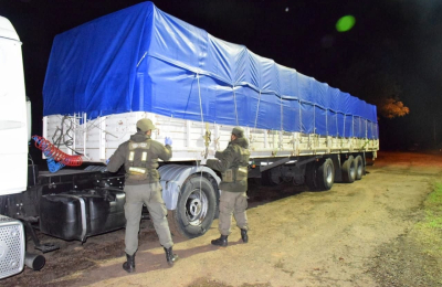 En camiones a granel: una sangría de 400 millones de dólares mensuales